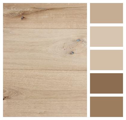 Wood Wood Floor Floor Image